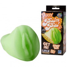 Светящаяся вагина PALM PAL